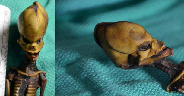 Mummified child found in Atacama, Chile in 2003. (E. Smith)
