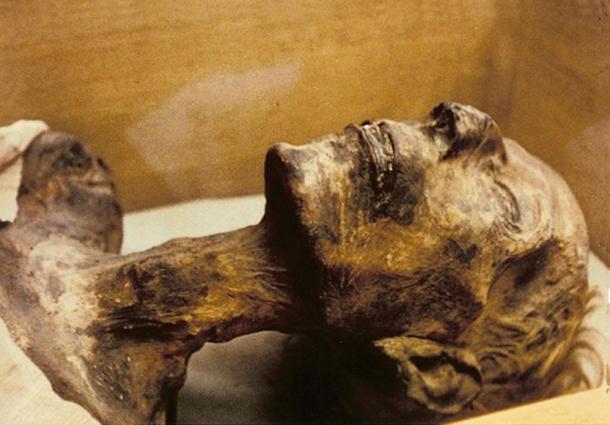 Mummy of 19th dynasty King Rameses II. Note the fair hair color. 
