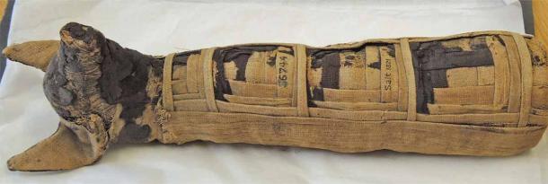 Mummy of a dog with naturistically modelled head, face covered with dark-brown linen, one eye applied. Circa 30 BC – 640 AD. (Trustees of the British Museum / CC by SA 4.0)