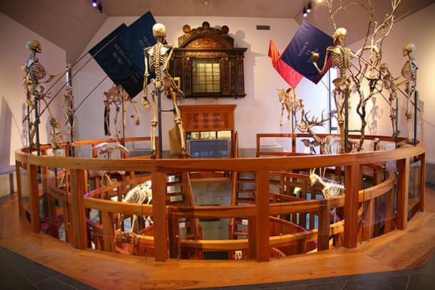 Museum Boerhaave – Anatomisch Theater. Source: CC BY-SA 2.0