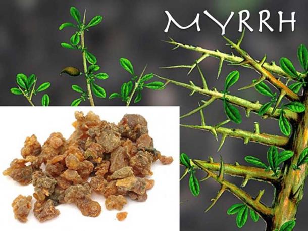 Myrrh. (Author provided)