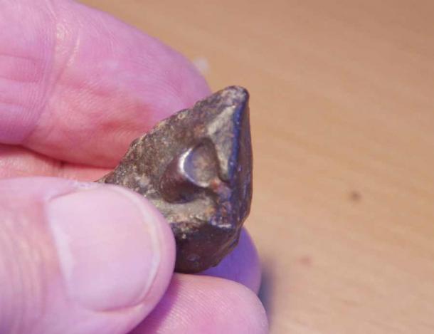Este meteorito NWA 869 no se parecía a nada que el escritor hubiera visto antes. (Autor proporcionado)