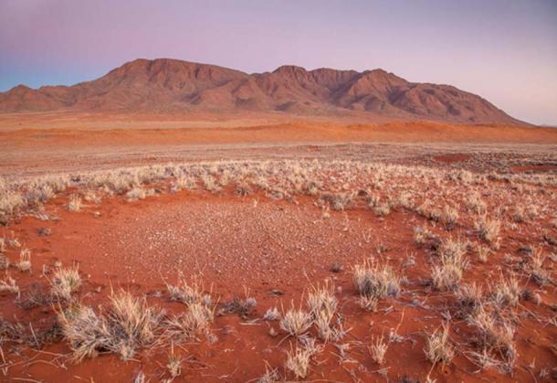 A fairy circle in the Namib Desert.
