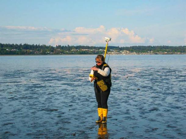 Nancy Greene studying the massive fish trap complex in Comox Harbor on Vancouver Island, British Columbia. (Nancy Greene / Hakai Magazine)