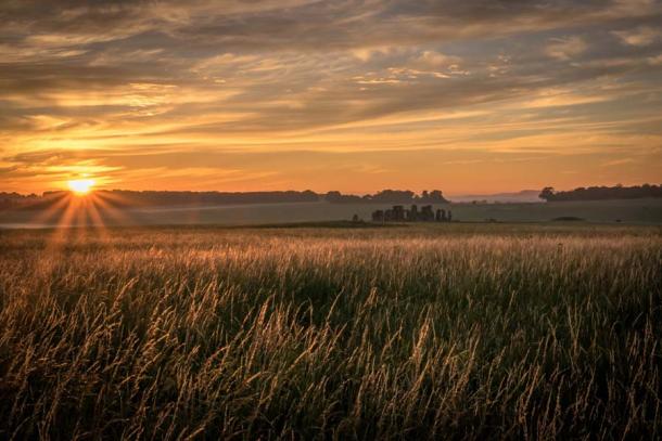 El National Trust planea restaurar el ecosistema de pastizales de tiza natural que existió en el plano de Salisbury en Wiltshire hace miles de años. (Nicolás / Adobe Stock)