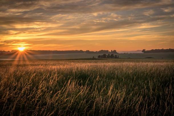 The National Trust plans to restore the natural chalk grassland ecosystem that existed on the Salisbury Plan in Wiltshire thousands of years ago. (Nicholas / Adobe Stock)