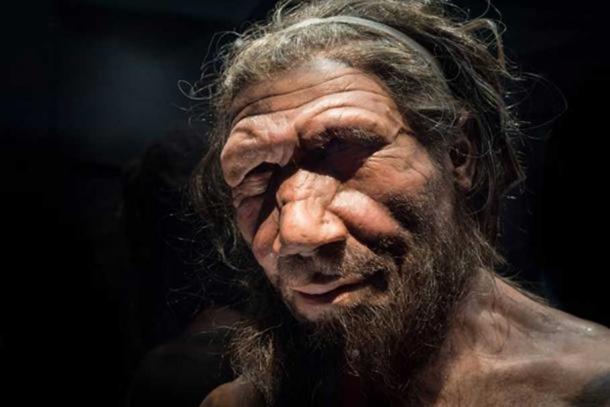 Neanderthal man at the Natural History Museum London.