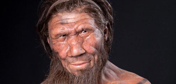 A facial reconstruction of a Neanderthal.
