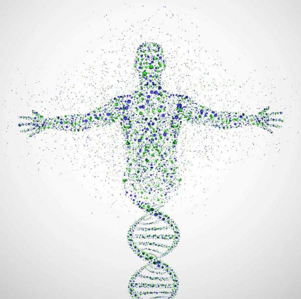 Until now Neanderthal DNA was always collected from mitochondrial DNA, which is less than complete, but now it is possible to analyze nuclear DNA even if it is in cave dirt. (Elymas / Adobe Stock)