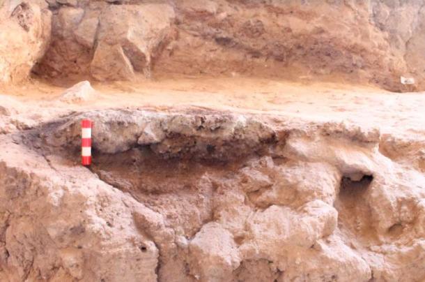 Un focolare di Neanderthal trovato nella grotta di Shanidar (Graeme Barker/Antiquity Publications Ltd)