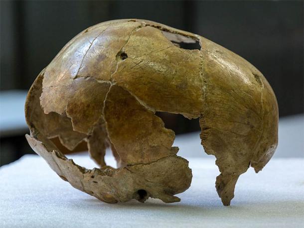 The question of what caused the demise of Neanderthals has been preoccupying scientists since the first Neanderthal remains were discovered in 1829 by the Dutch naturalist Philippe-Charles Schmerling in Belgium. (Thilo Parg / CC BY-SA 3.0)