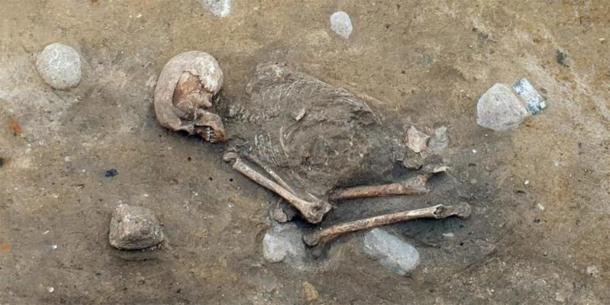 This Neolithic skeleton of a woman was found buried in the fetal position in Germany. (Image: Archaeros)