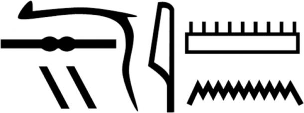 Nesyamun’s name in hieroglyphs as shown in his coffin inscriptions. (Scientific Reports)