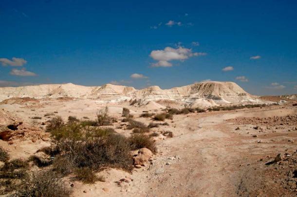 Los montículos o dunas de arena de Nitzana fueron el hogar de avestruces salvajes, entre otras criaturas. (Mboesch/CC BY SA 4.0)
