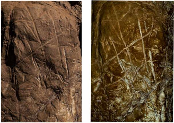 Non-polarized (left) and polarized (right) image of the crosshatched engraving on Panel A, in the Dinaledi Subsystem. (© Berger et al., 2023)