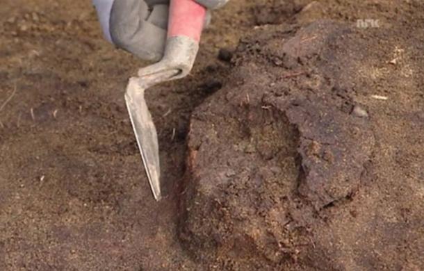 Norwegian archaeologists find 8,000-year-old skull.