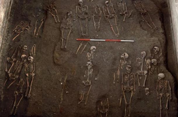 Numerous skeletons of sexually perverse Nuns discovered in Oxford