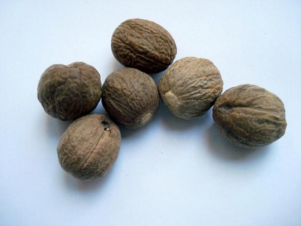 Nutmeg (Images via Liza Knox.)