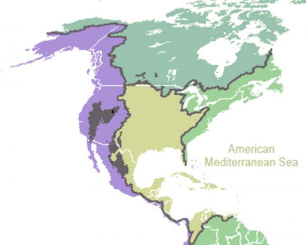 Ocean drainage at the American Mediterranean Sea
