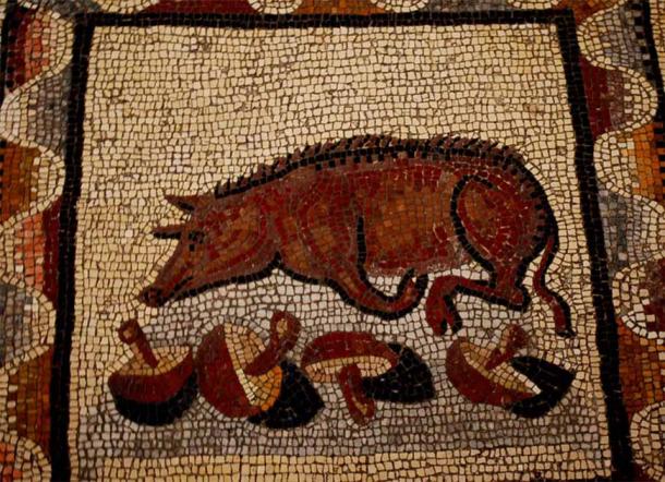 Offal through the years – while today, pork belly or tripe are relatively common, sow’s womb is no longer considered a delicacy. Mosaic of a truffle pig, circa 200 AD (Public Domain)
