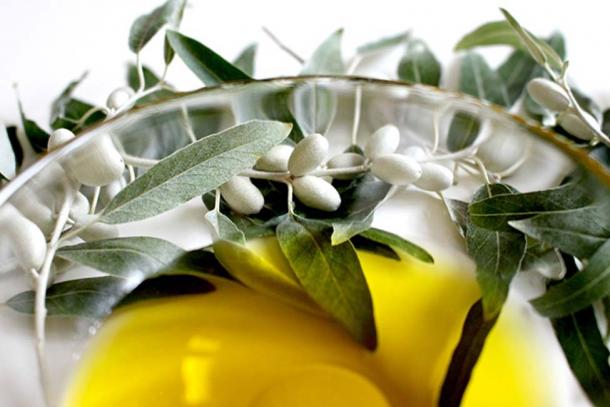 Olive oil has been utilized for over 5,000 years (public domain)