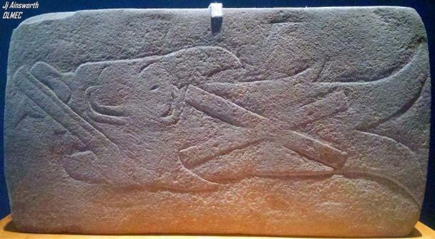 Olmec God VIII - Fish or Fish monster God. (Author provided)