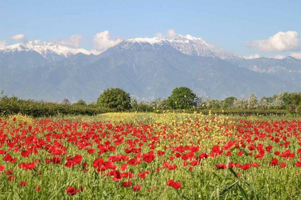 Mount Olympus in spring (Ina Meer Sommer / Adobe Stock)