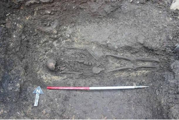 One of the 24 full skeletons found at the site. (Cotswold Archaeology)