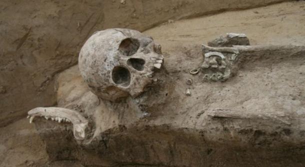 One of the burials at the site.