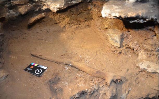 One of the miniature fireplaces with trimmed sticks immediately after they were exposed by excavation in Cloggs Cave. (David, B et al/Nature)