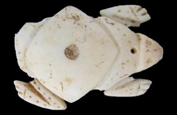 One of the most notable shells found at the St. Thomas site was a frog pendant carved from a queen conch shell. (William Keegan / Florida Museum of Natural History)