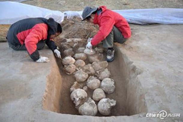 One of the pits of skulls unearthed in 2016. Image credit: CNWEST