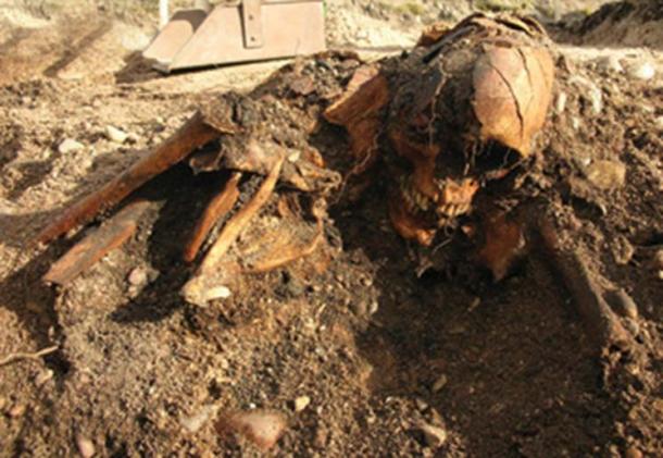 One of the skeletons found aboard the smaller ship. Credit: Marge Konsa, University of Tartu
