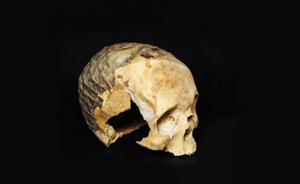 One of the skulls from the Nahal Hemar Cave. (Clara Amit / IAA)