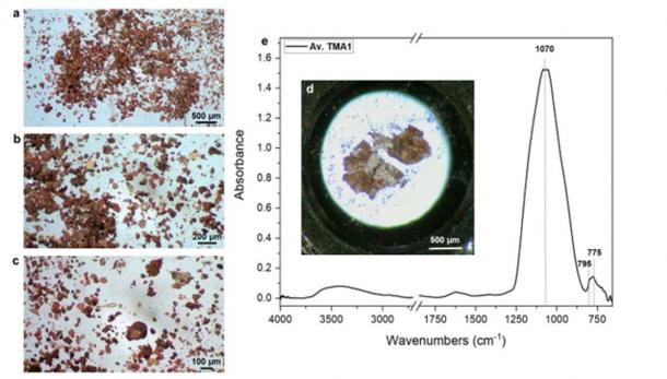 Optical image of sample taken from ancient Egyptian Bes vase which revealed the presence of hallucinogenic substances in residue found within. (Tanasi et. al / CC BY 4.0)