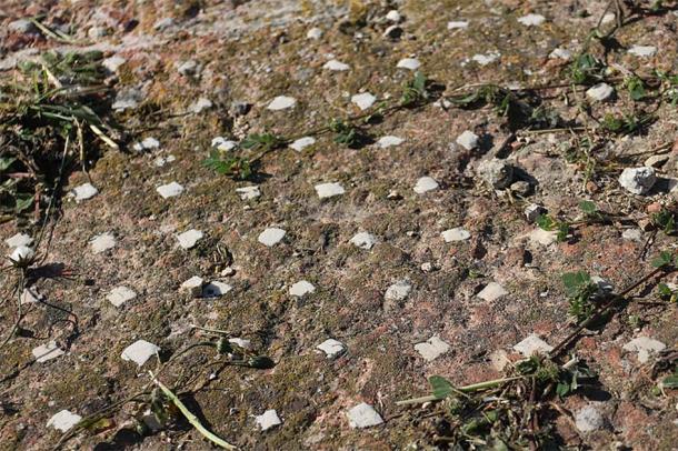 Opus signinum flooring at Tas-Silġ, Malta. (Zugraga/CC BY SA 4.0)