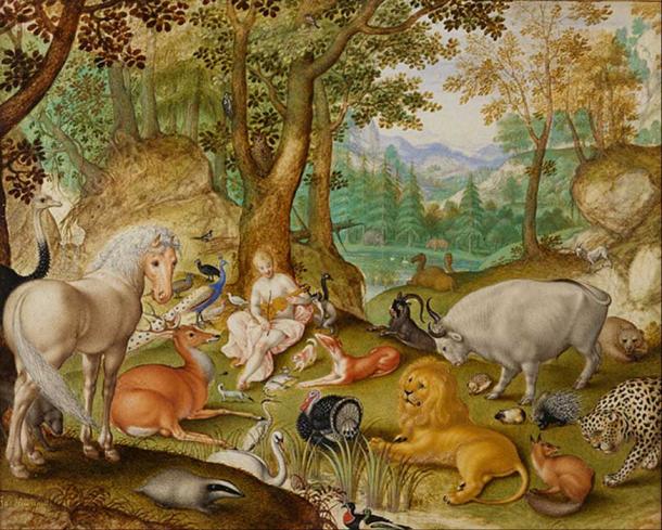 ‘Orpheus Charming the Animals’ (1613) by Jacob Hoefnagel.