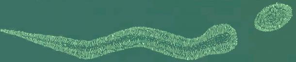 Ground plan of Otonabee Serpent Mound, Ontario, Canada