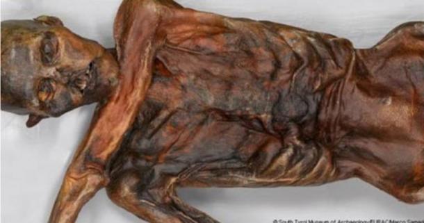 Otzi the iceman. Credit: South Tyrol Museum of Archaeology
