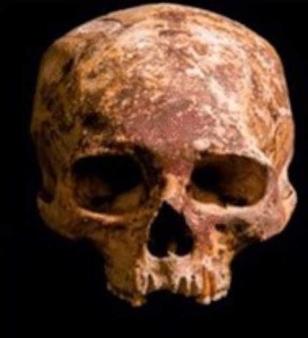 Painting skulls with various red pigments was a common practice across several ancient cultures. A recent study revealed class differences in the substances used. Source: J Watkins / CC BY NC ND 4.0