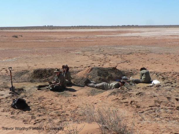 Palaeontologists from Flinders University excavating fossils near Lake Pinpa, South Australia. L to R: Aaron Camens, Amy Tschirn, Jacob Blokland and Kailah Thorn. (Image: Trevor Worthy, Flinders University)