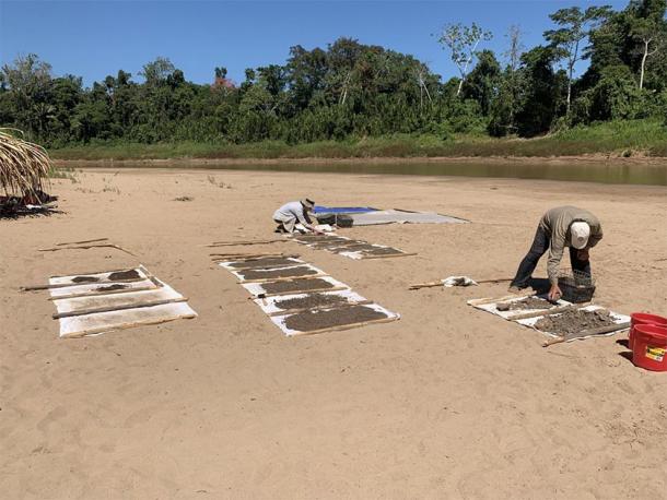 Paleontologists dry sediment collected from the Santa Rosa site where Ucayalipithecus was found, in Amazonian Perú. (Erik Seiffert)