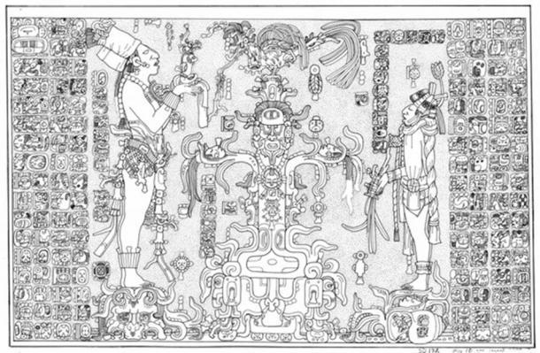 Panel Temple of the Foliated Cross. Linda Schele Drawing. Courtesy of Ancient Americas at LACMA