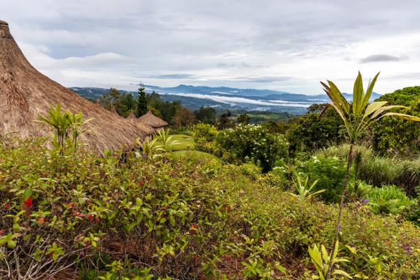 Tierras altas de Papúa Nueva Guinea. (Tom / Adobe)