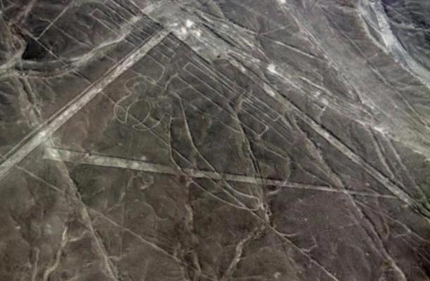 Parrot geoglyph at Nazca.