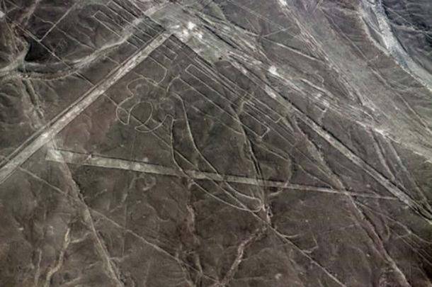 Parrot geoglyph at Nazca. Source: BigStockPhotos