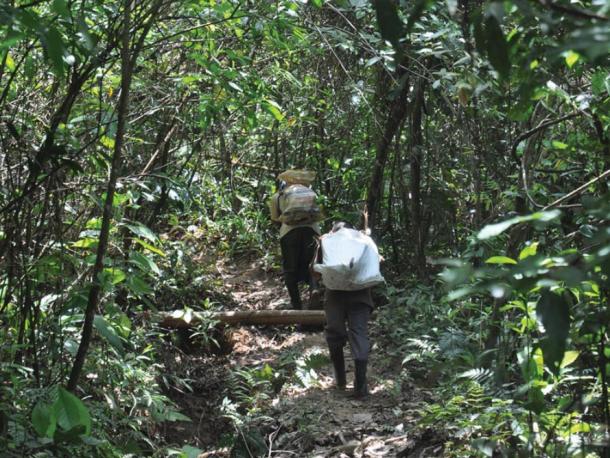 Participants carry stones on tumplines during experiment
