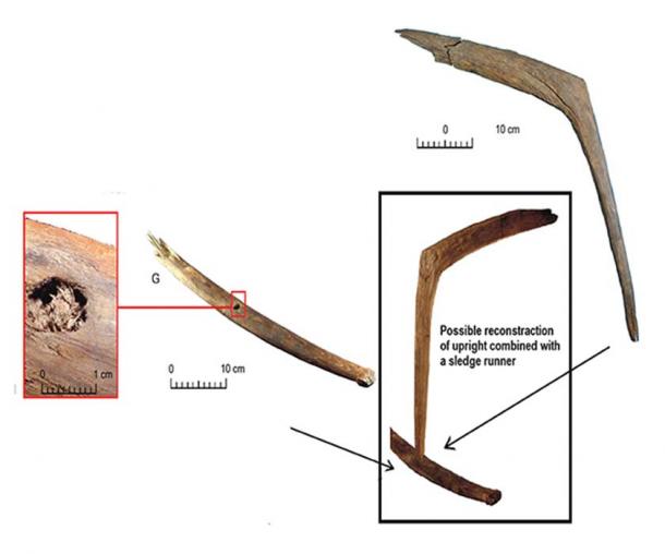 Parts of sledges found on the Zhokhov site. Images: Vladimir Pitulko