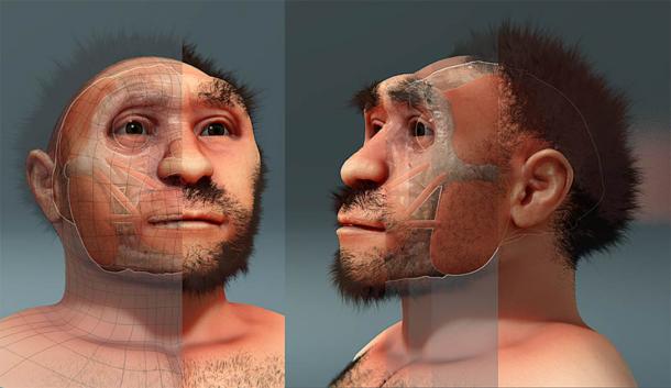 Una reconstrucción del Hombre de Pekín u Homo erectus pekinensis, un espécimen de Homo erectus encontrado en China que data de hace unos 750.000 años. (Cícero Moraes / Dominio público)