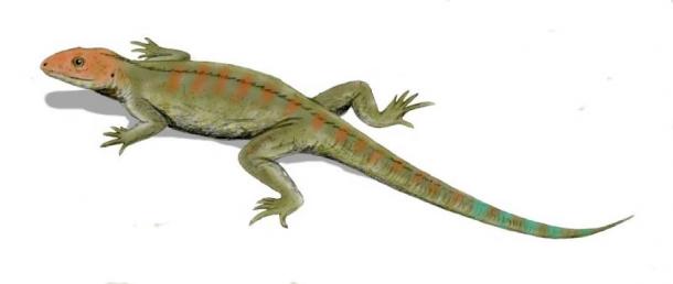 Pencil drawing of Hylonomus lyelli (Public Domain)